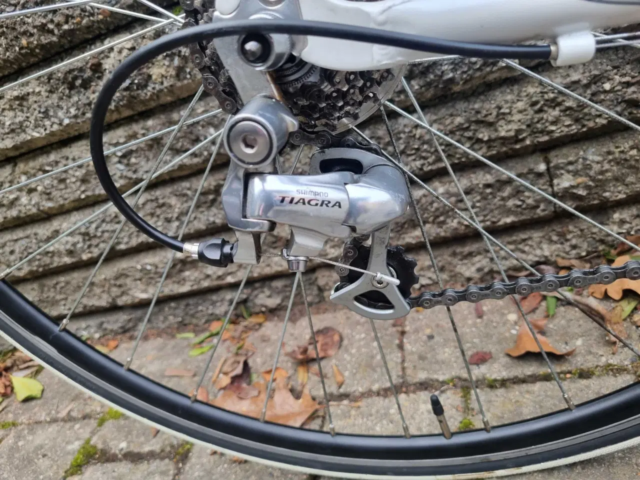 Billede 2 - Busetto racercykel 