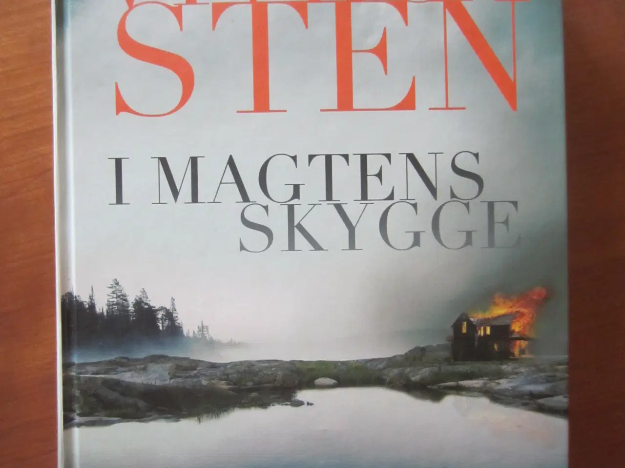 Billede 1 - I magtens skygge