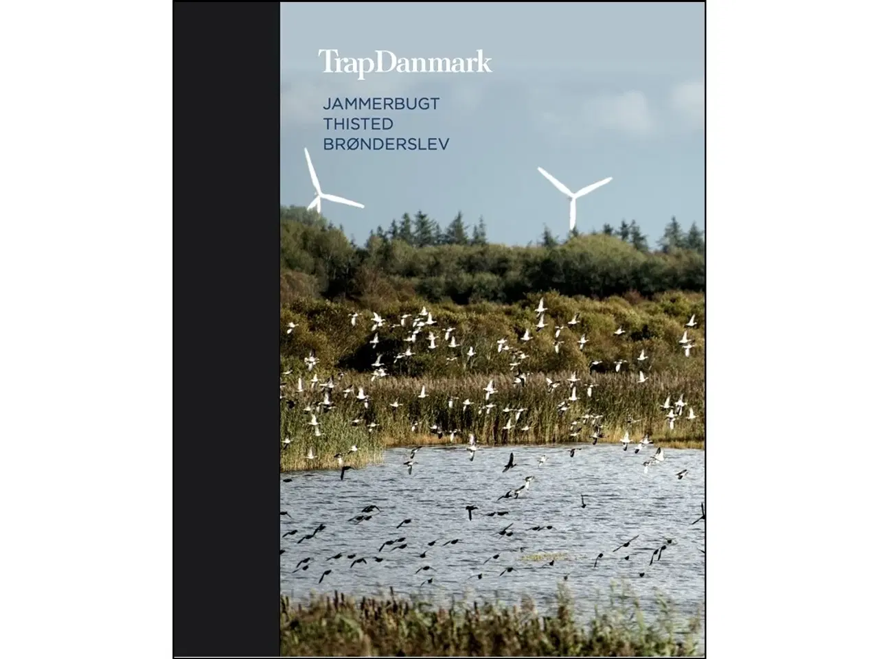 Billede 1 - Trap Danmark: Jammerbugt, Thisted & Brønderslev