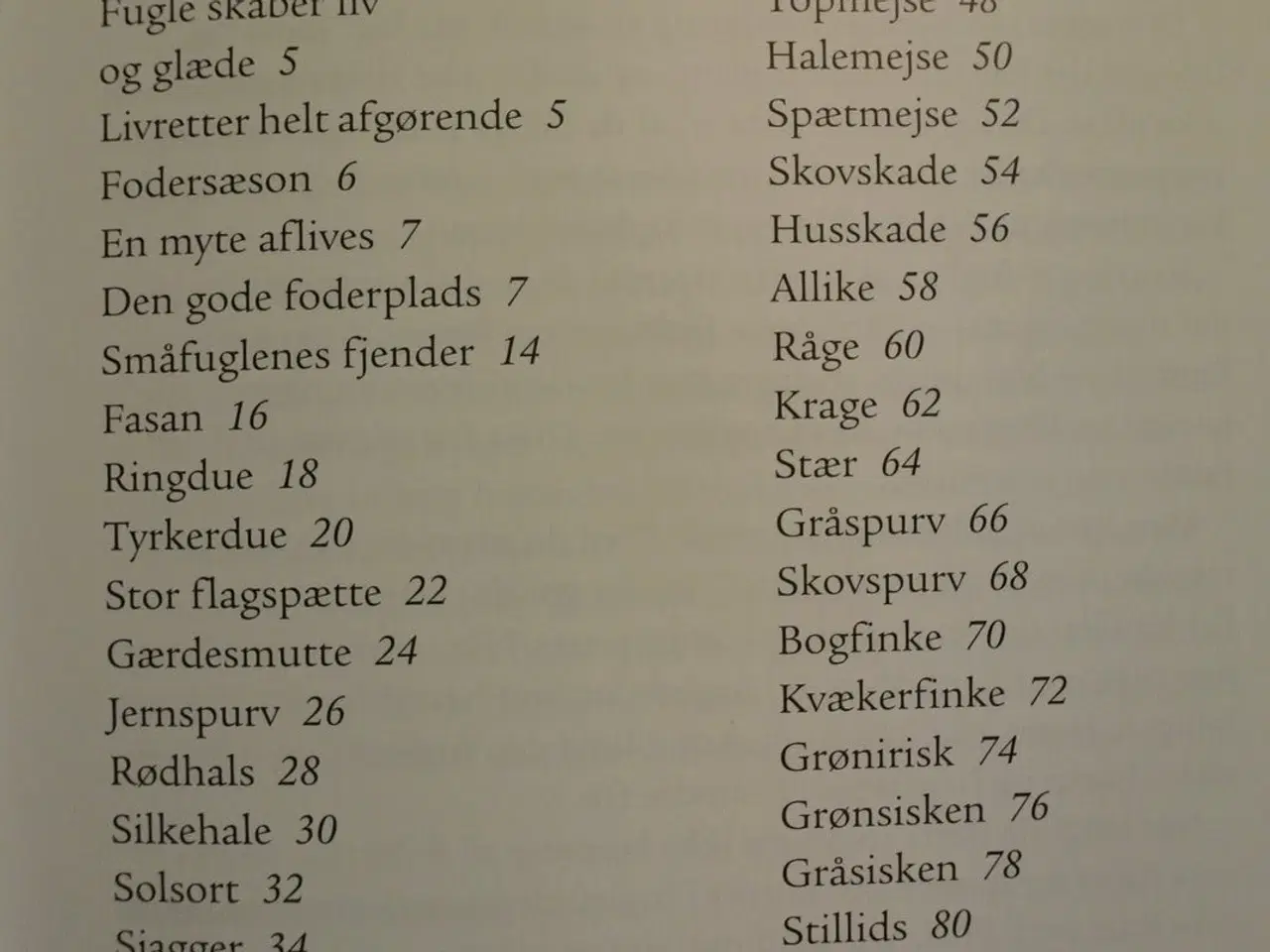 Billede 2 - fugle ved foderpladsen, af benny gensbøl, emne: dy