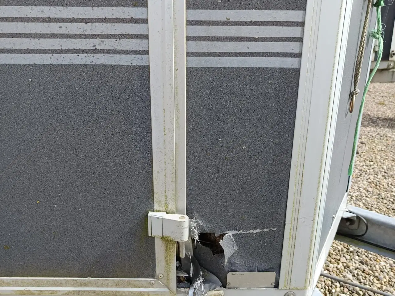 Billede 5 - Single hestetrailer 