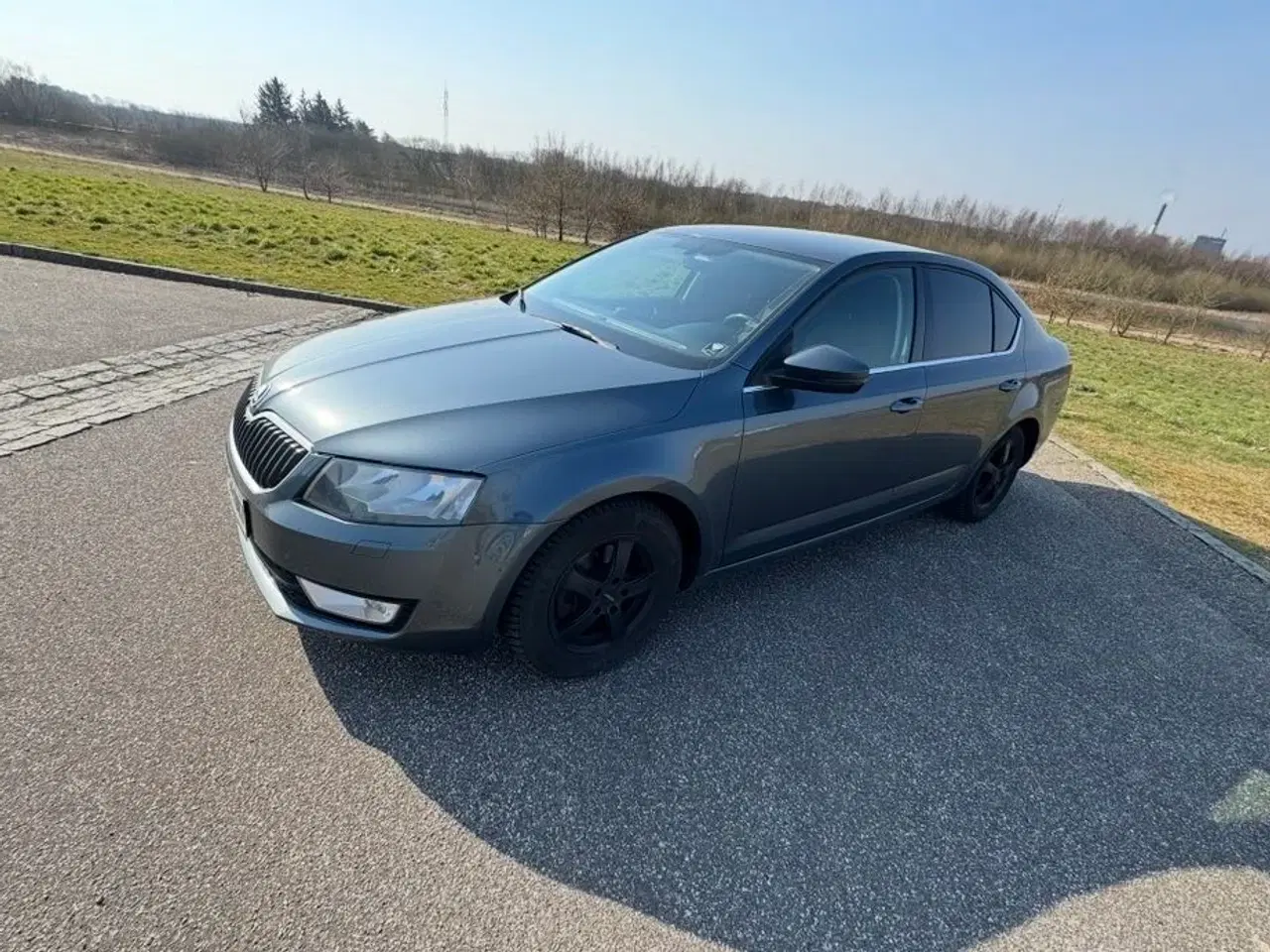 Billede 1 - Skoda Octavia 2,0 med varmepumpe og stort anlæg 