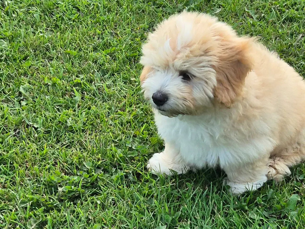 Billede 5 - Lækker dreng 