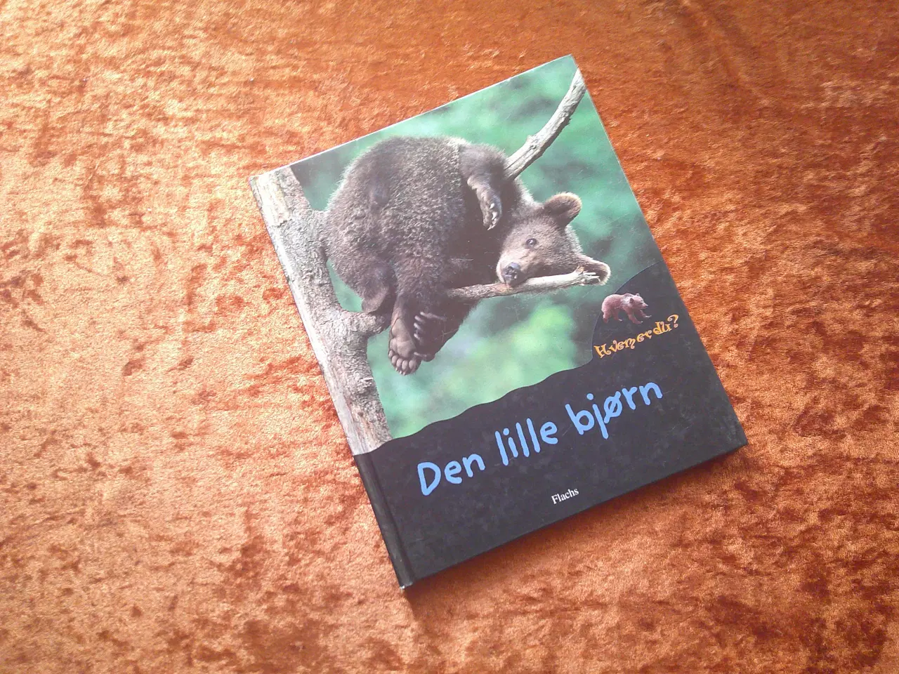 Billede 1 - Den lille bjørn, Valérie Guidoux