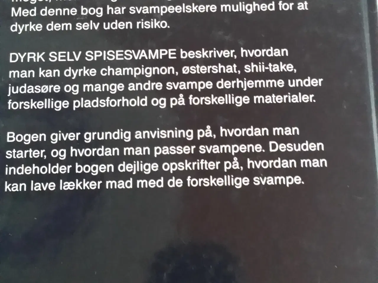 Billede 2 - Dyrk selv spisesvampe