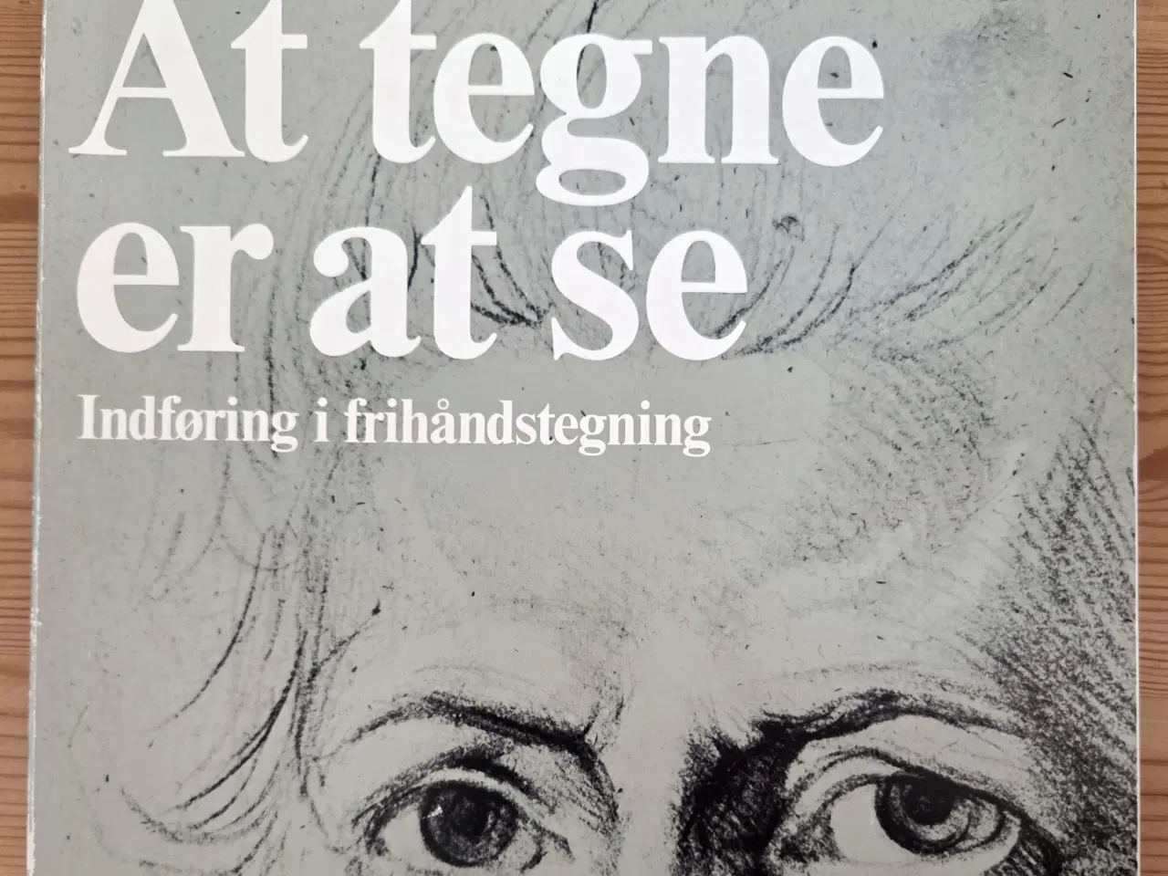Billede 1 - Lær at tegne  -  danske bøger