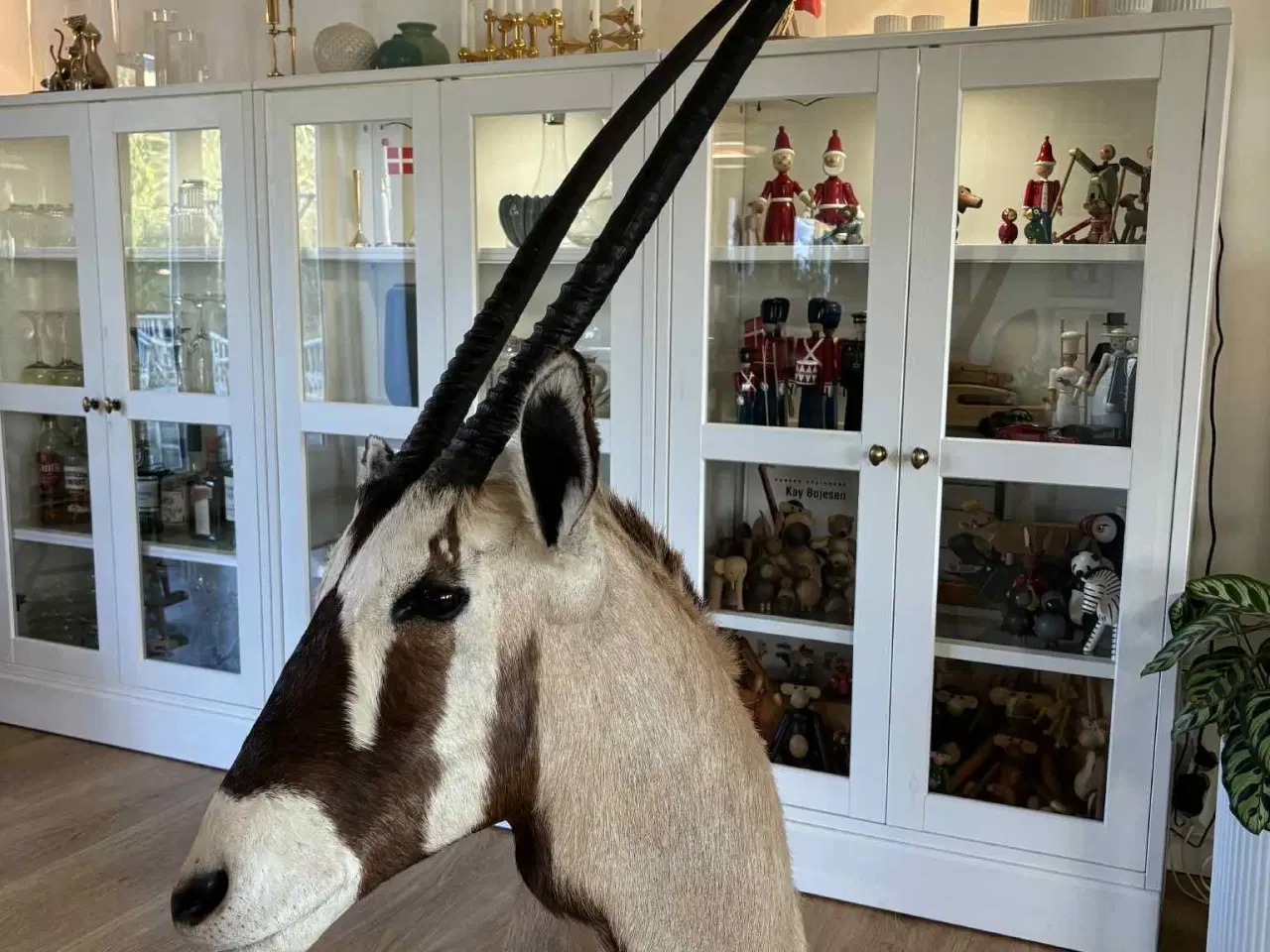 Billede 2 - Udstoppet / halsmonteret dyr