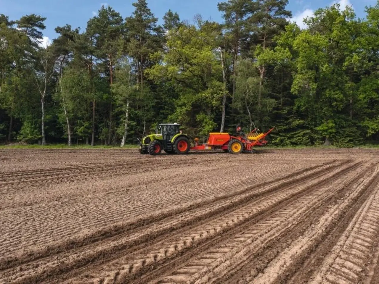 Billede 3 - CLAAS Arion 660 CMATIC