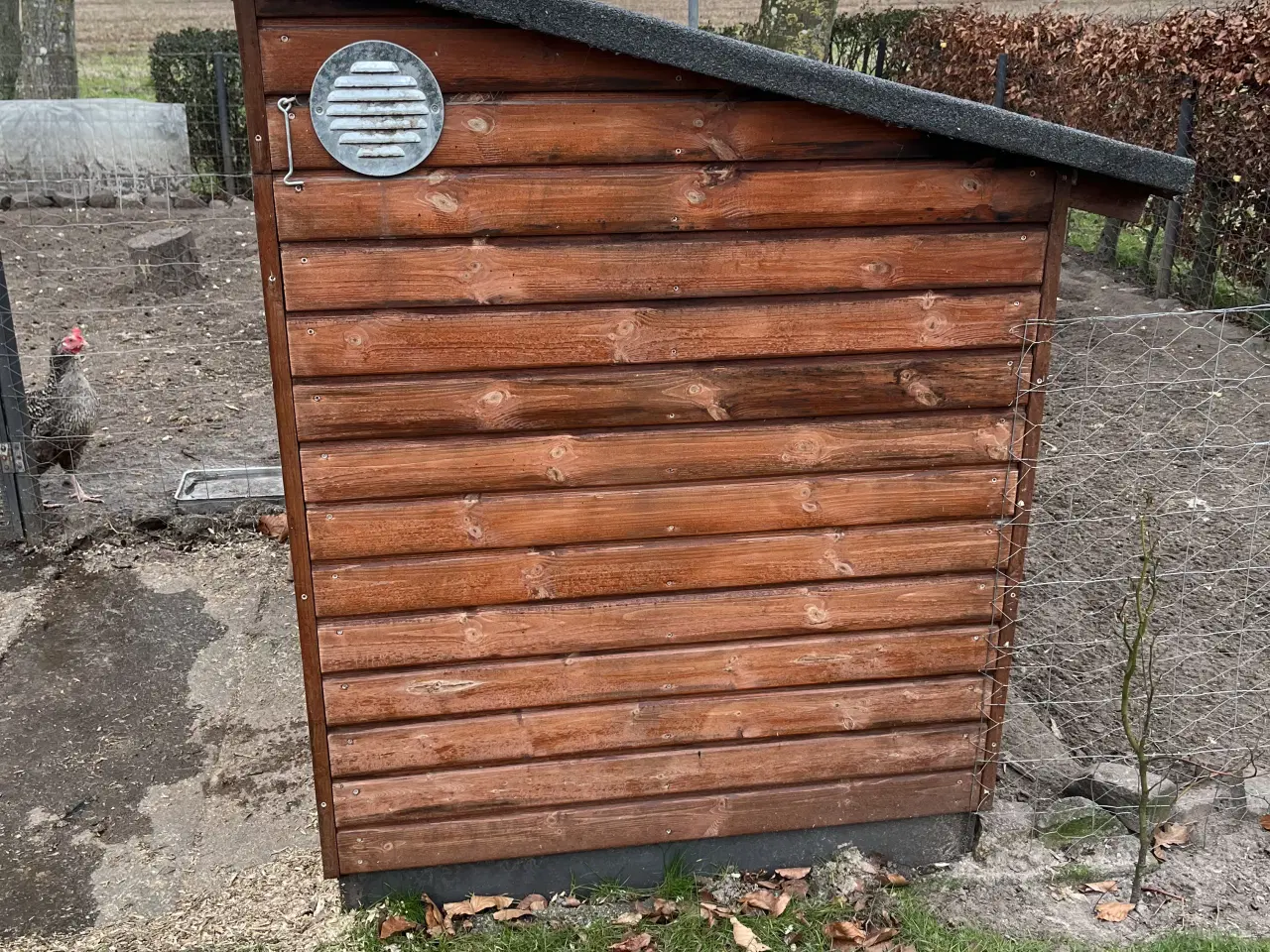 Billede 1 - til dig som mangler et hønsehus 