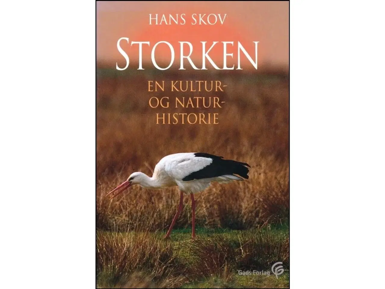 Billede 1 - Storken - en kultur- og naturhistorie