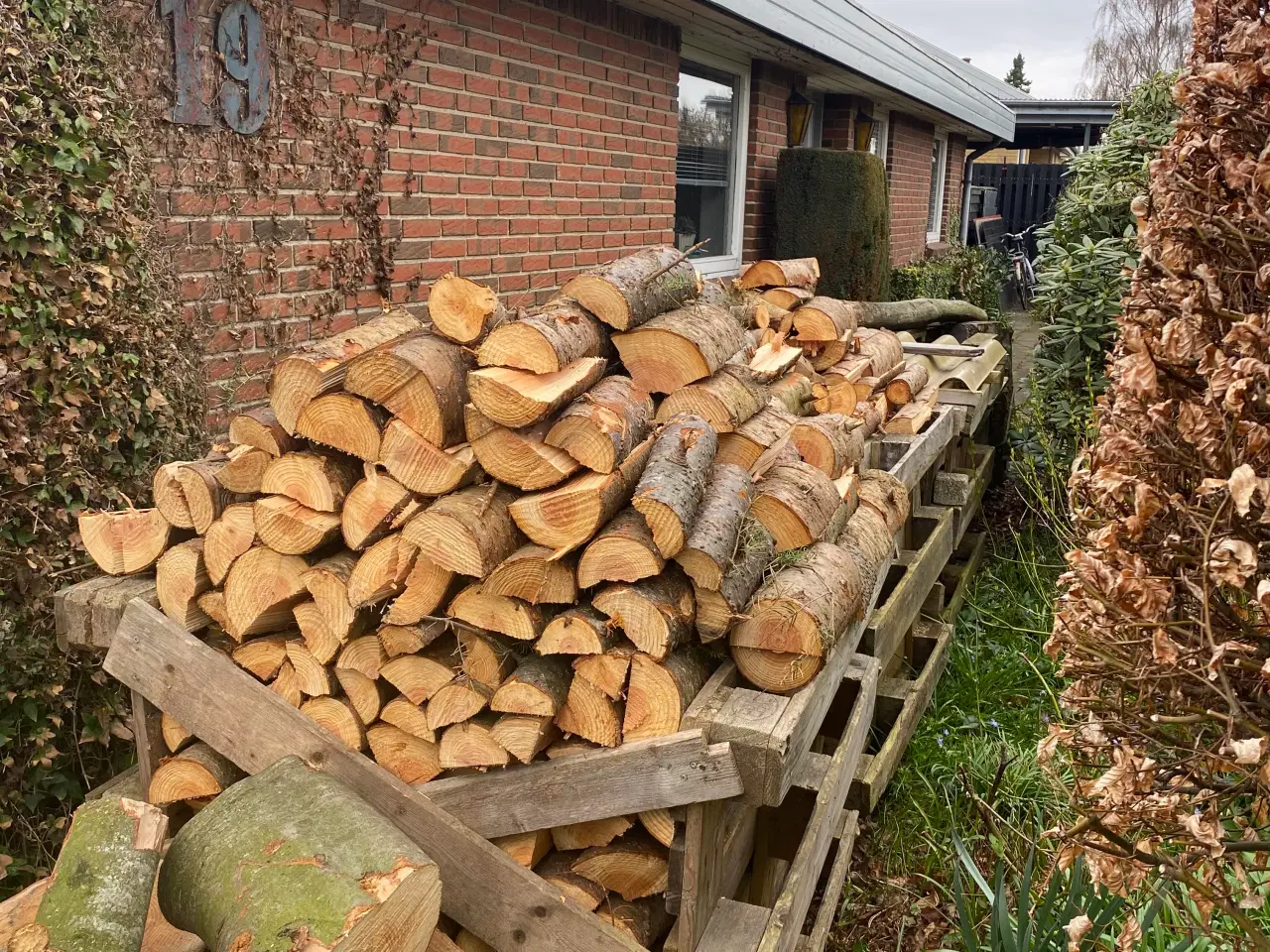 Billede 2 - Brænde  gran