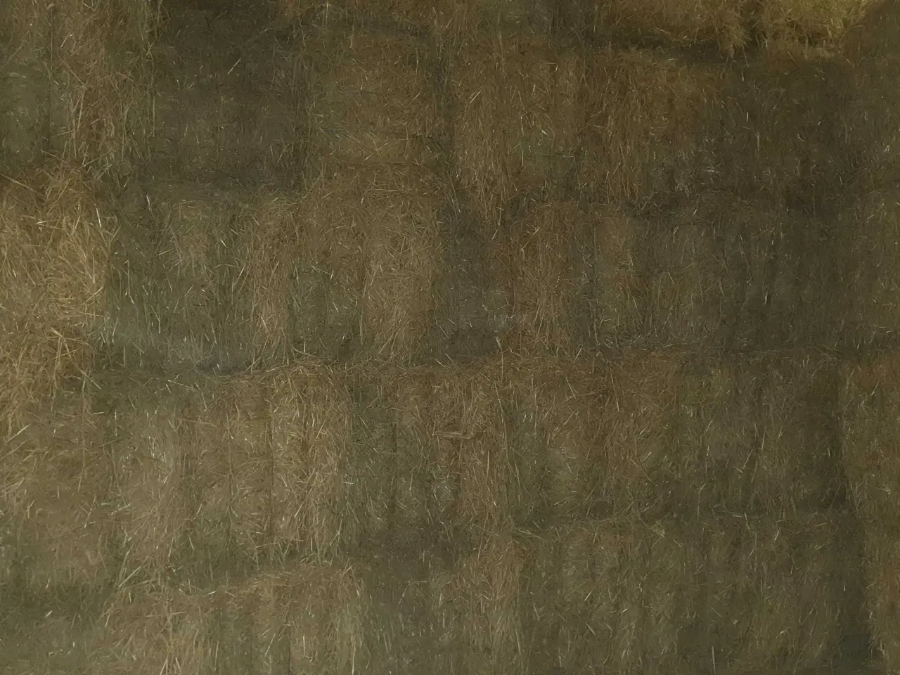 Billede 2 - Godt vårbyghalm 