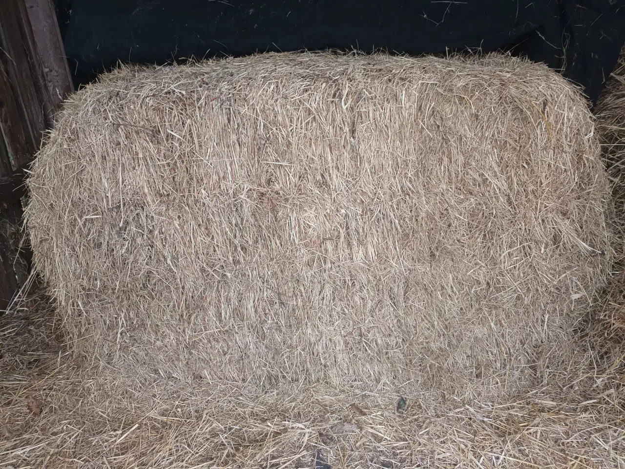 Billede 2 - Hø fra juni 2025