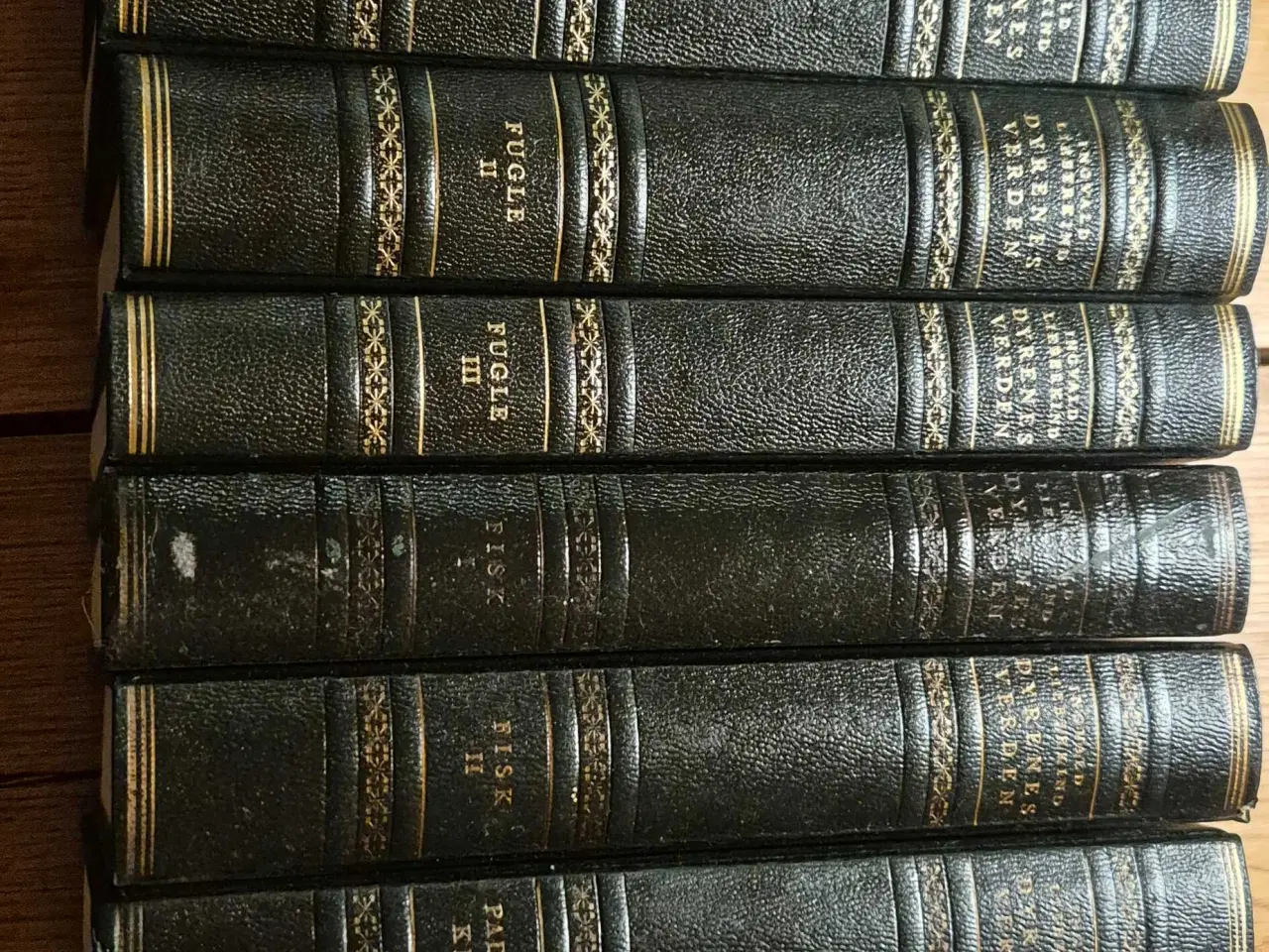 Billede 1 - DYRENES VERDEN, Ingvald Lieberkind