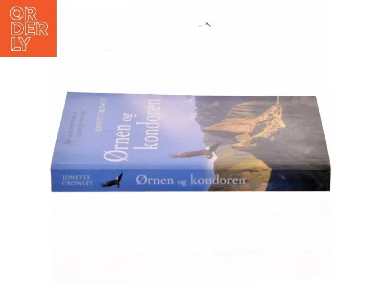Billede 2 - Ørnen og kondoren : den sande historie om en uventet spirituel rejse af Jonette Crowley (Bog)