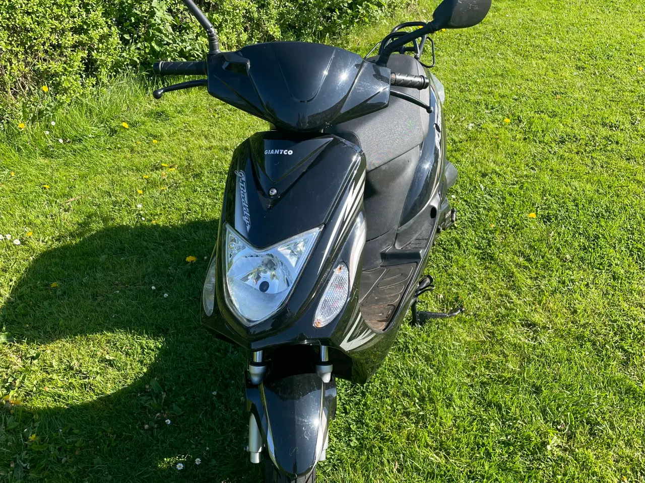 Billede 2 - Giantco G-buddy 45Km/t
