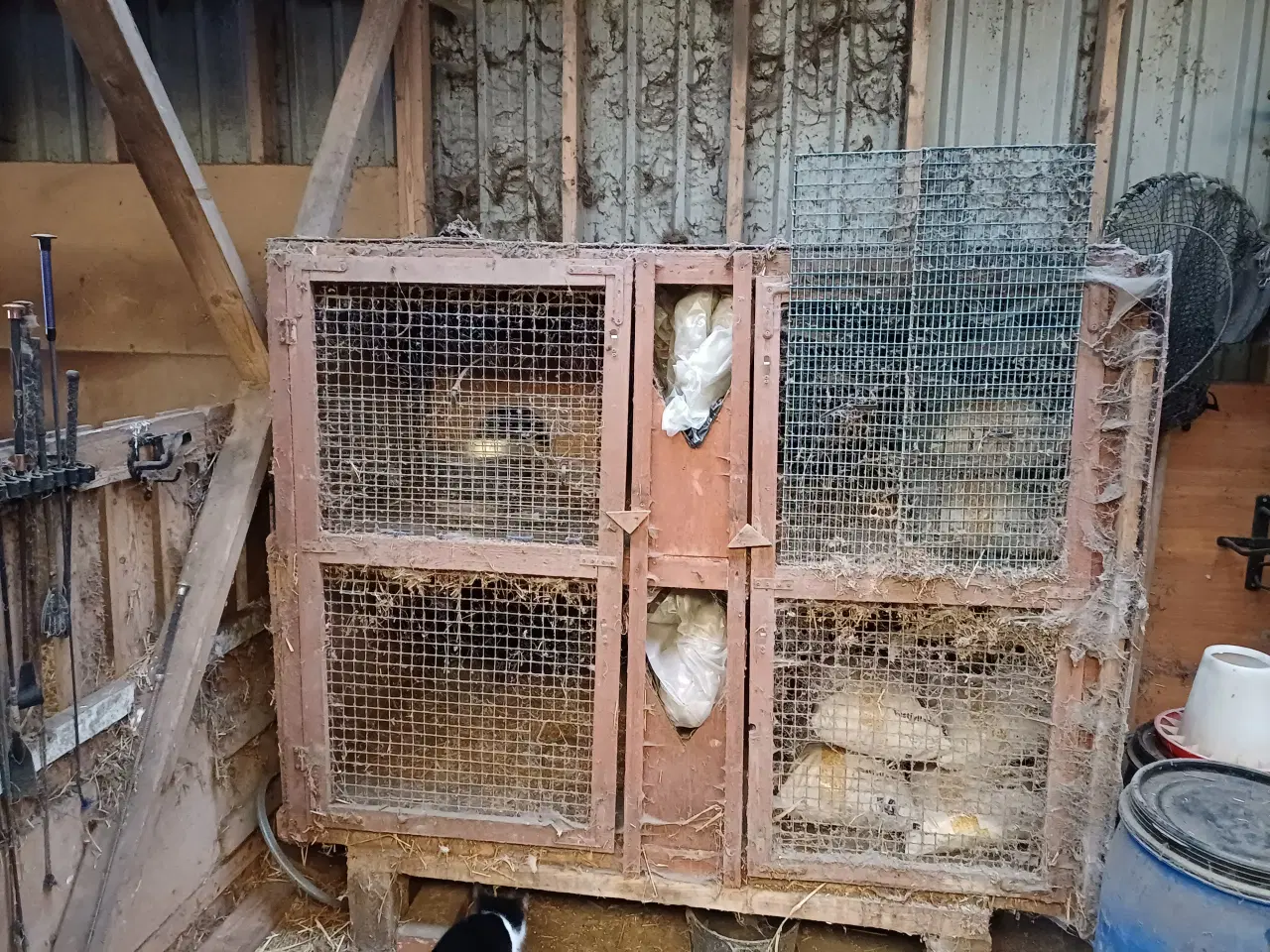 Billede 1 - Kaninbur