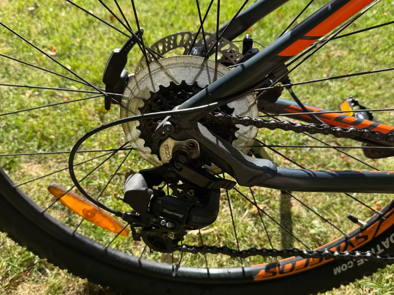 Billede 5 - Mountianbike Scott. Str. M