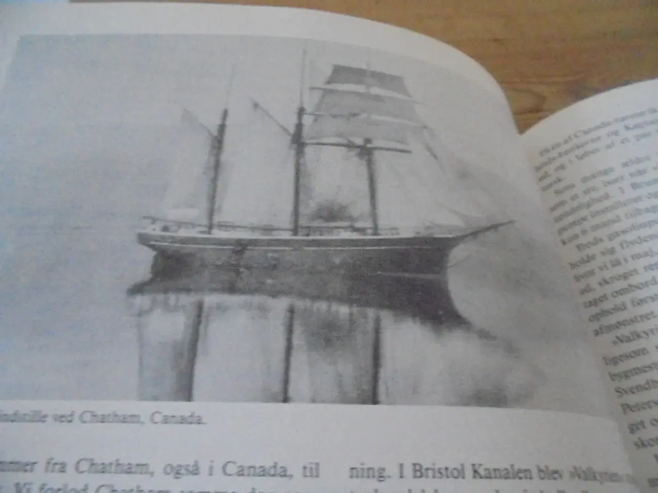 Billede 6 - Barbados for ordre – Groller i Vestfarten