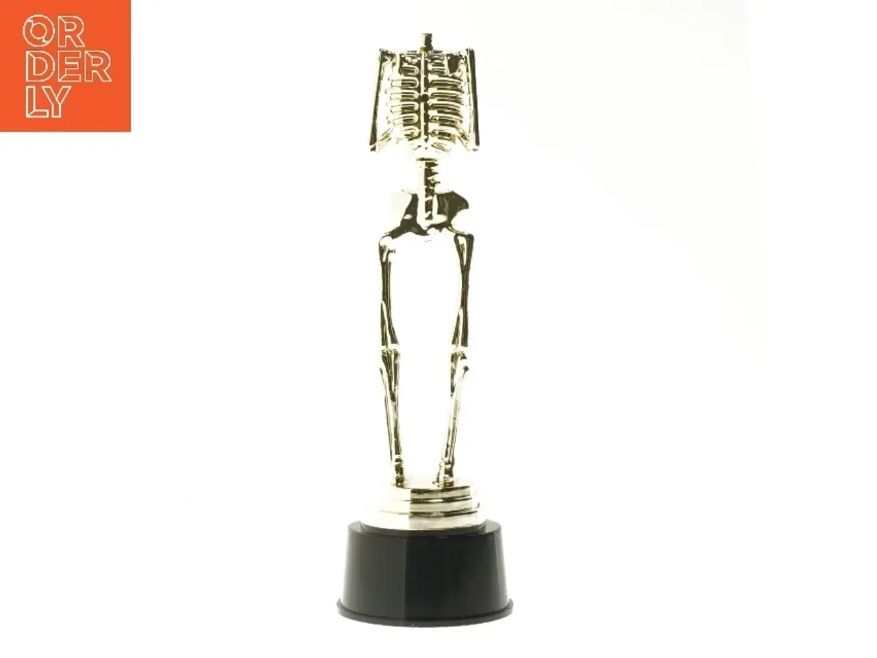 Billede 3 - Skelet trofæ (str. 24,5 cm)