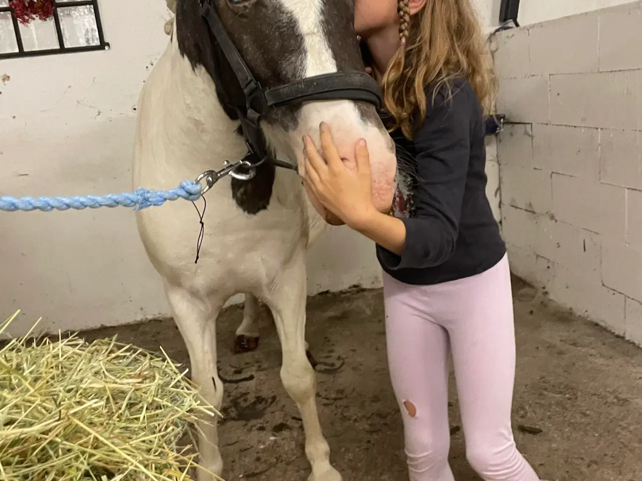 Billede 4 - Shetland blænding