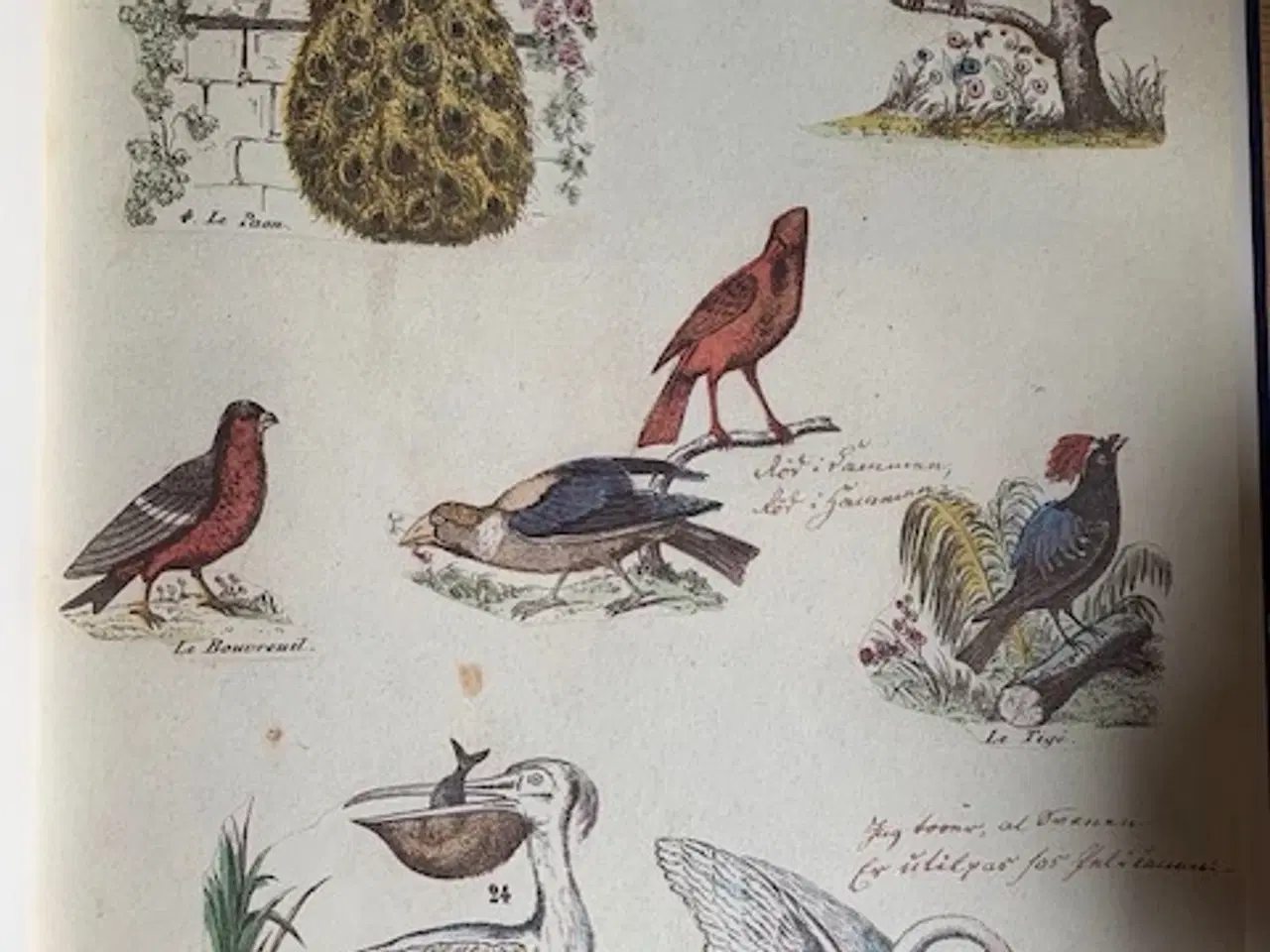 Billede 10 - Christines billedbog - H C Andersen - morfar Adolp