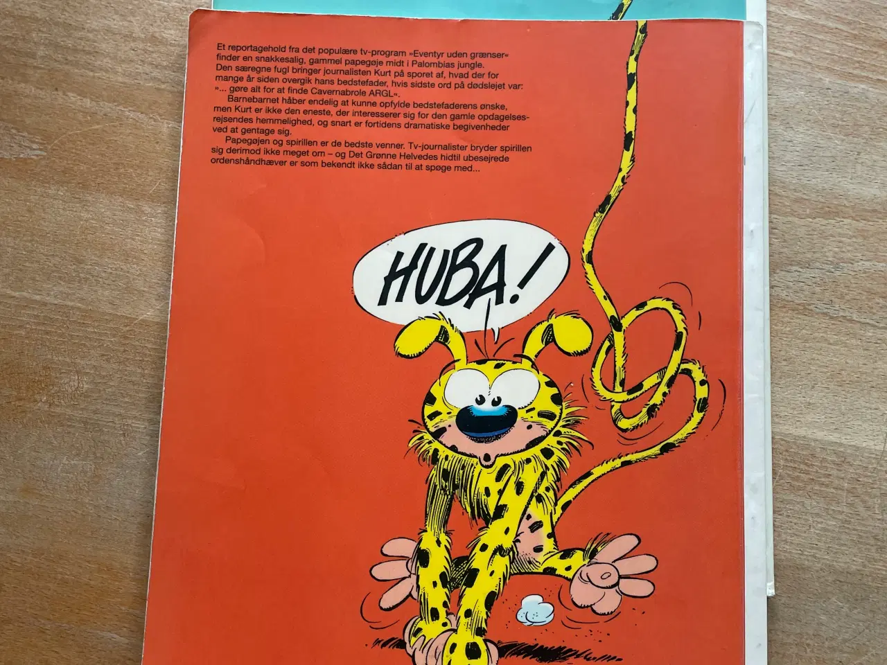 Billede 4 - Spirillen se tekst