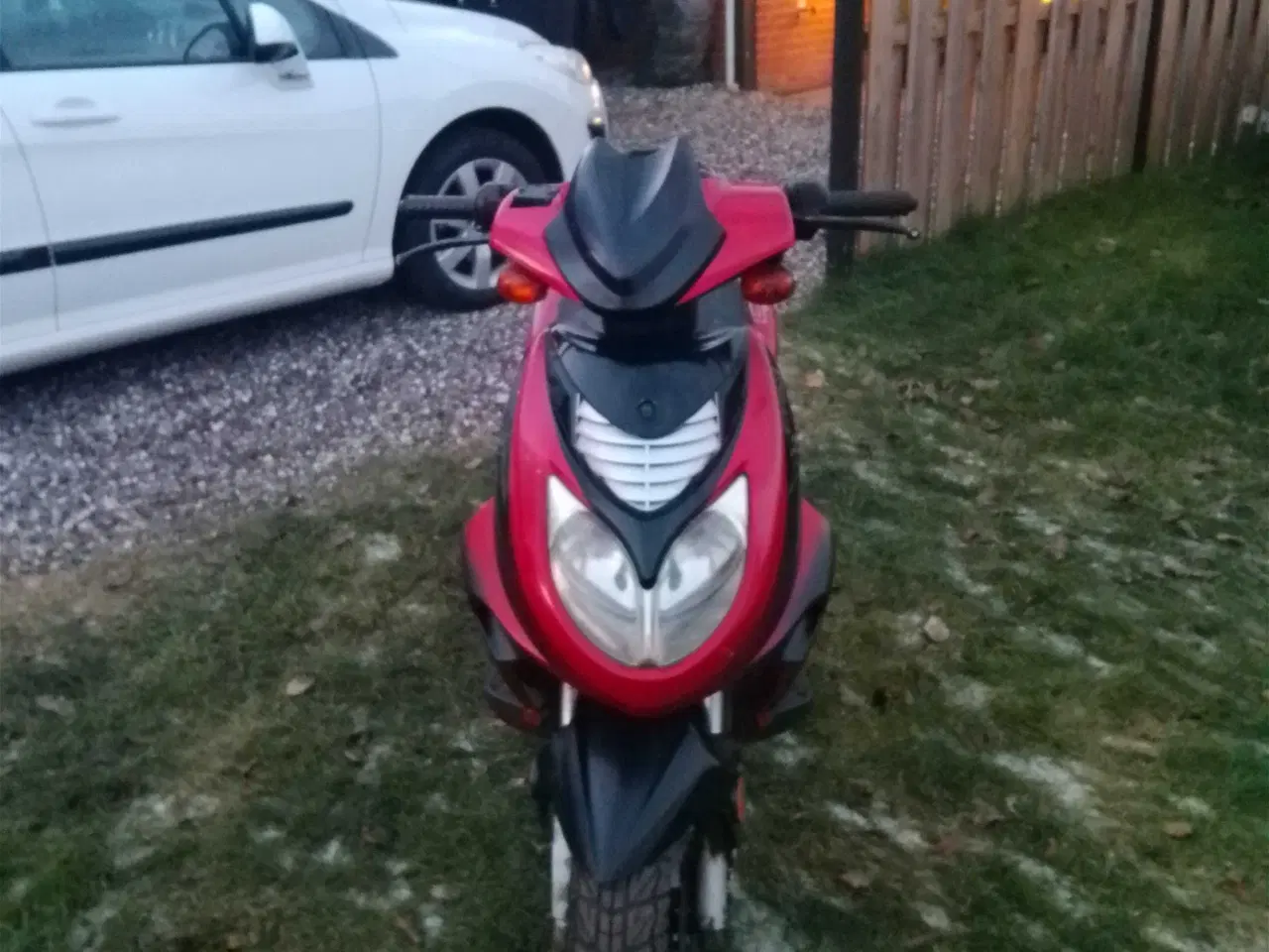 Billede 2 - Texas chilli 30kmt lovlig 