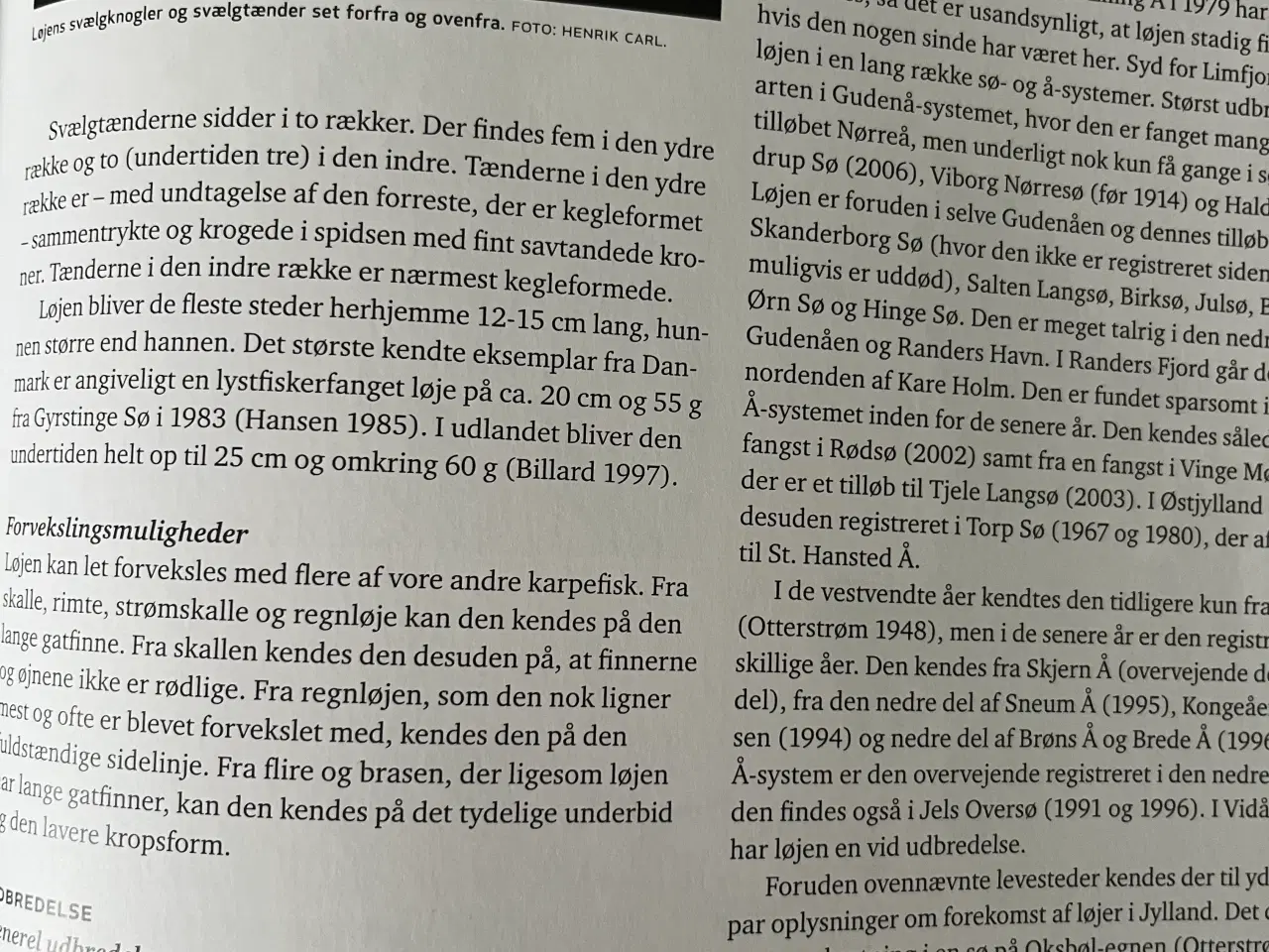 Billede 7 - ATLAS OVER DANSKE FERSKVANDSFISK 