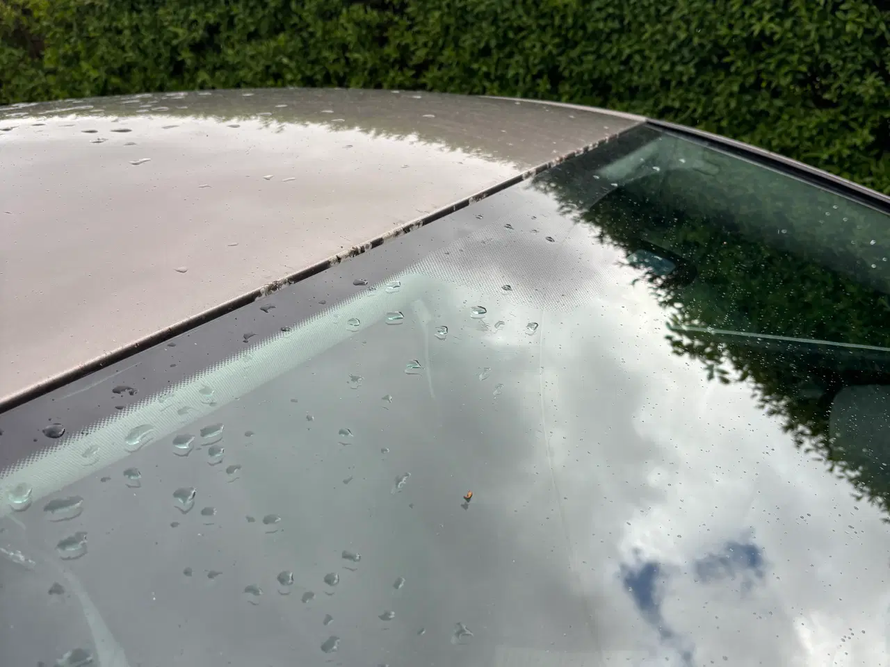 Billede 7 - Sælge Vw Passat 