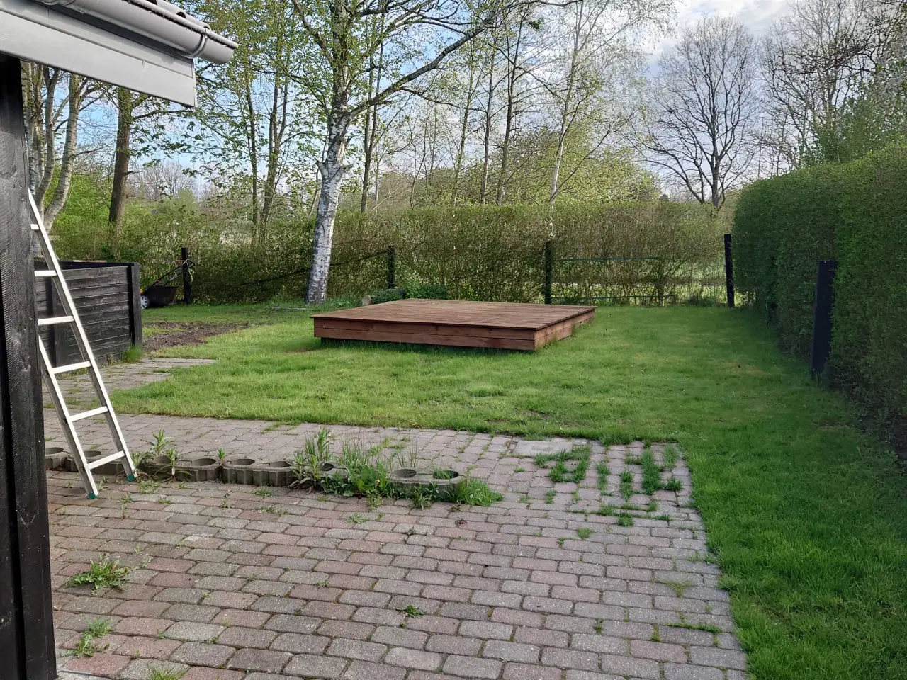 Billede 11 - Kolonihaven Aalborg til salg i draget 
