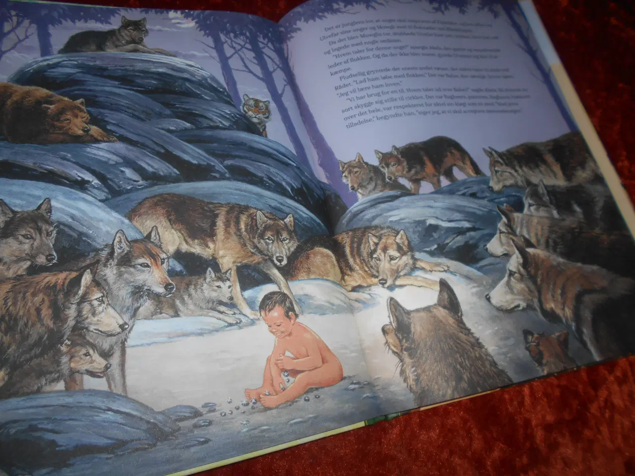 Billede 2 - Junglebogen, Rudyard Kipling