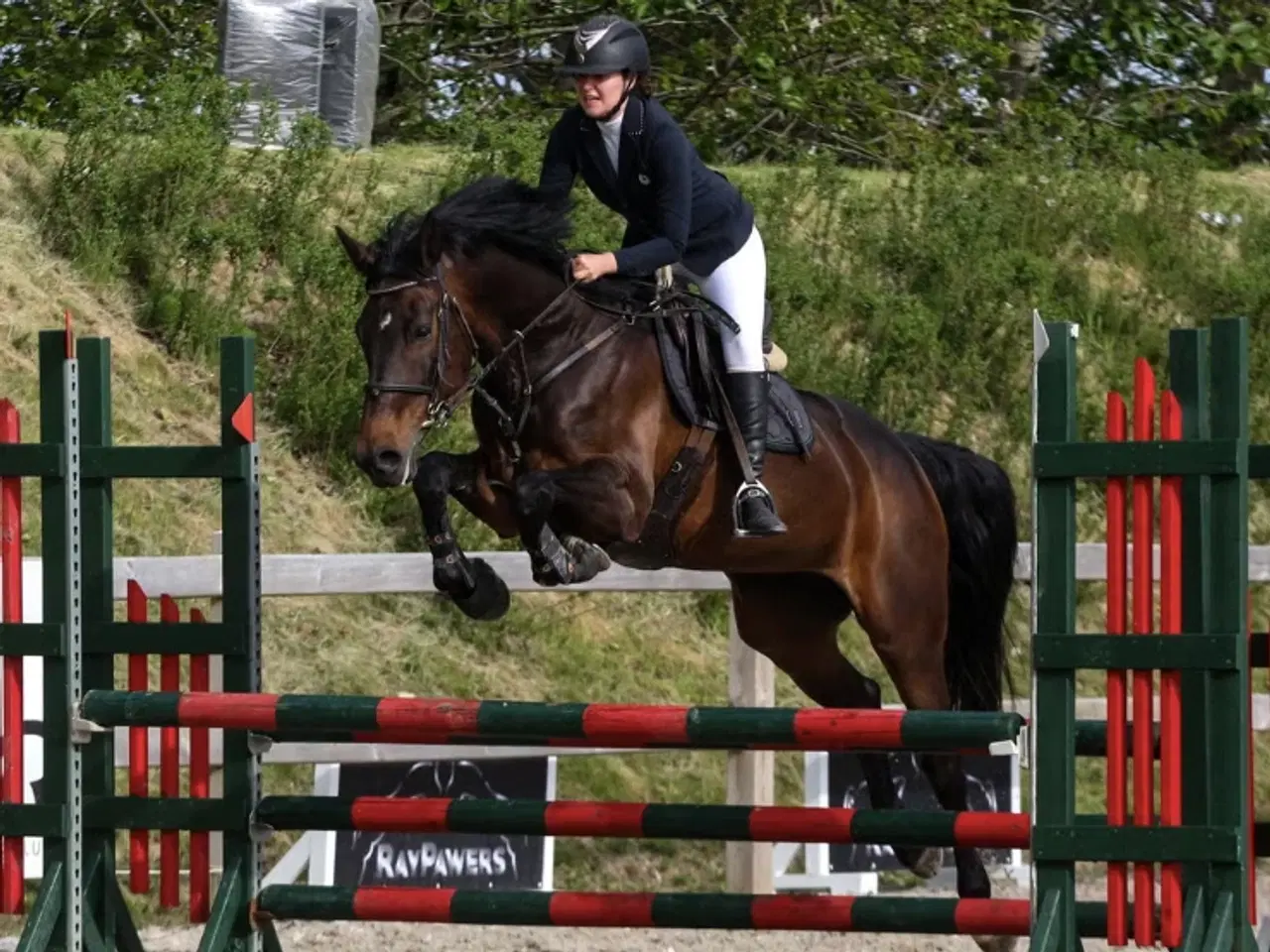 Billede 1 - Hoppe efter Ukato/Lupicor 