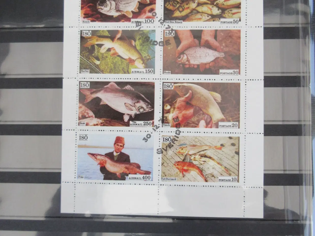 Billede 9 - Samling frimærker med Fisk i album