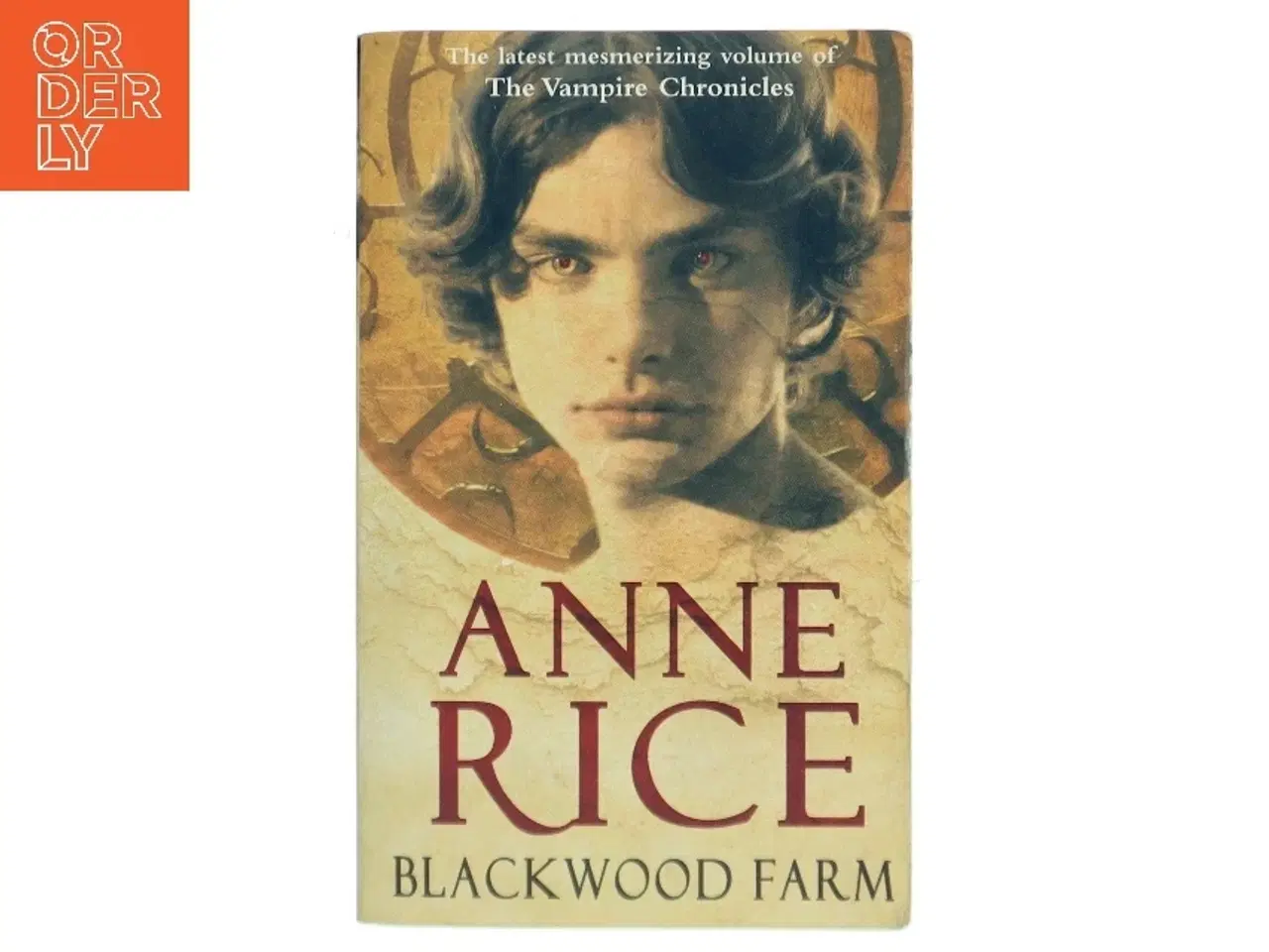 Billede 1 - Blackwood Farm af Anne Rice (Bog)