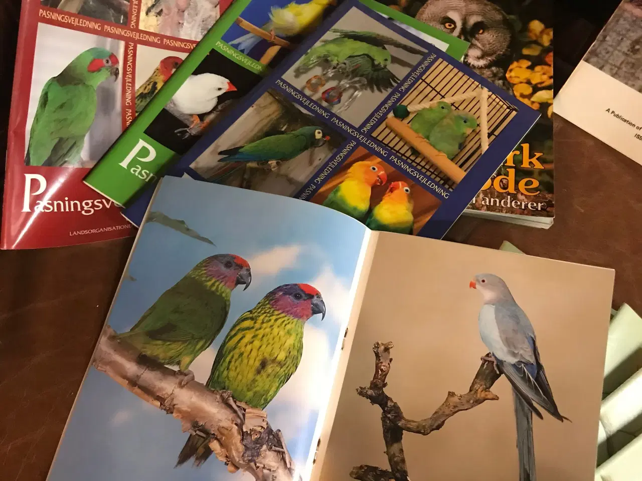 Billede 3 - papegøje tidsskrifter osv 