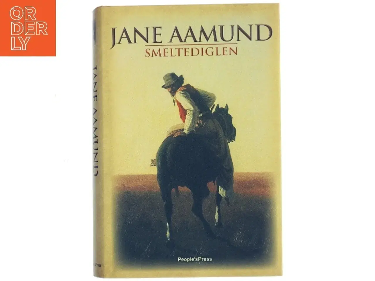 Billede 1 - Smeltediglen : andet bind i slægtskrøniken om de dansk-argentinske indvandrere : roman af Jane Aamund (Bog)