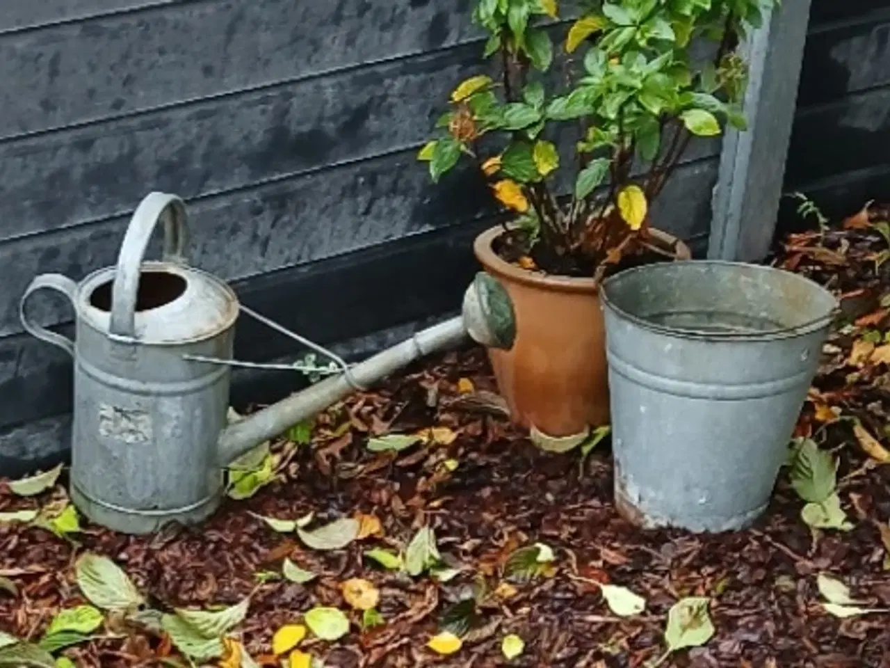 Billede 1 - Zink - vandkande, spand og 10 liters dunk