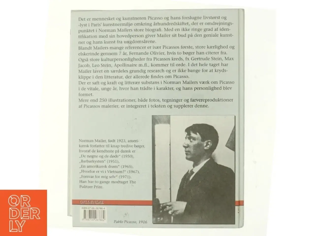 Billede 3 - Portræt af den unge Picasso : en biografi af Norman Mailer (Bog)