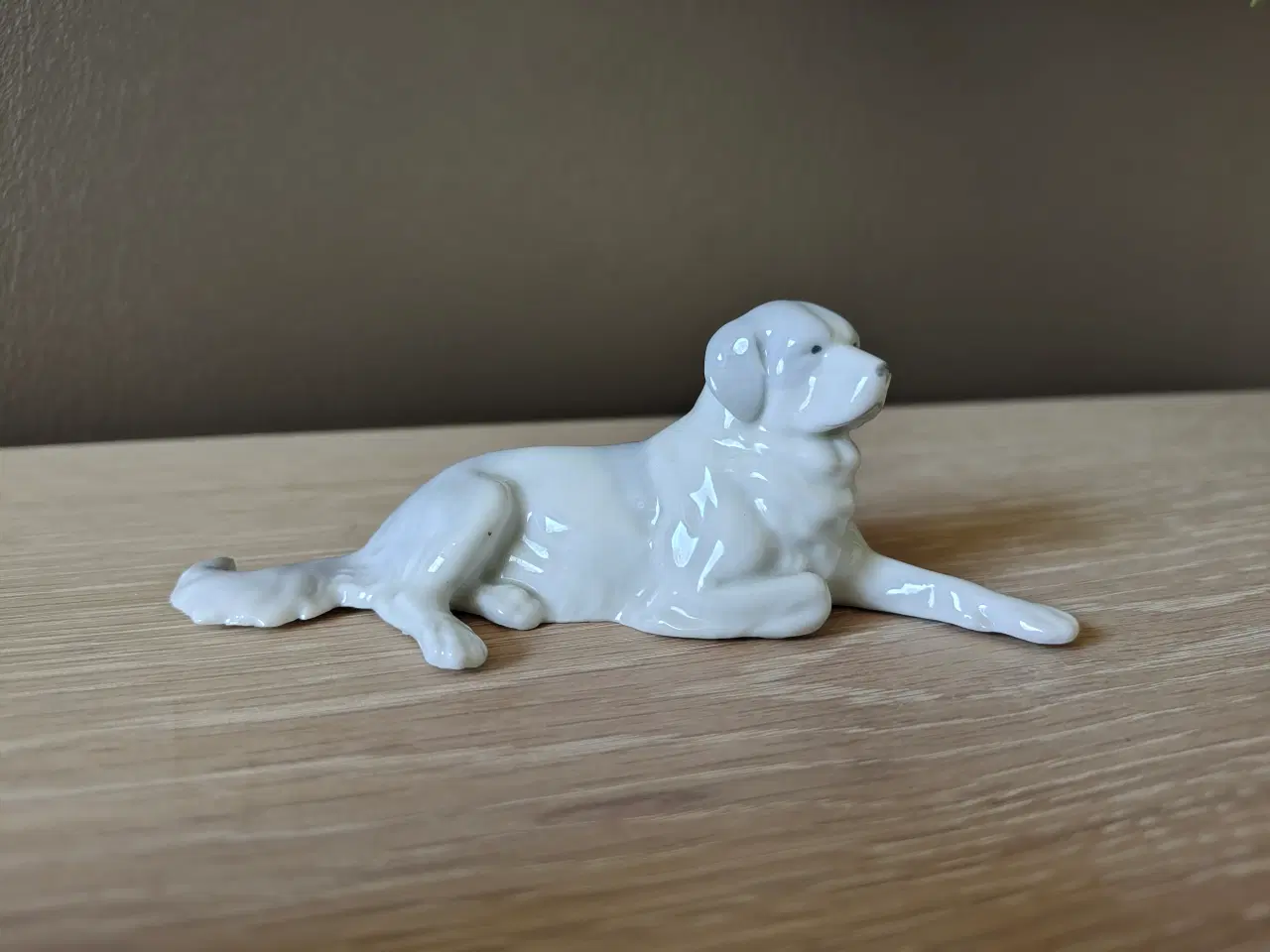 Billede 1 - Flot tysk porcelænshund