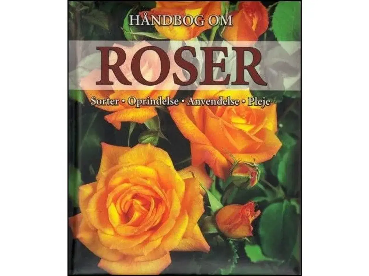 Billede 1 - Håndbog om Roser