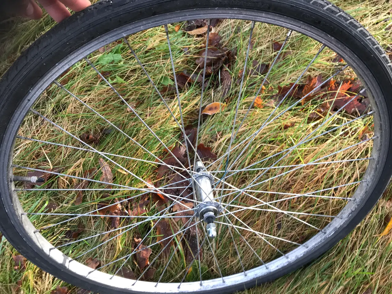 Billede 1 - 28 Tommer Cykel forhjul med Dæk og luft på Slange