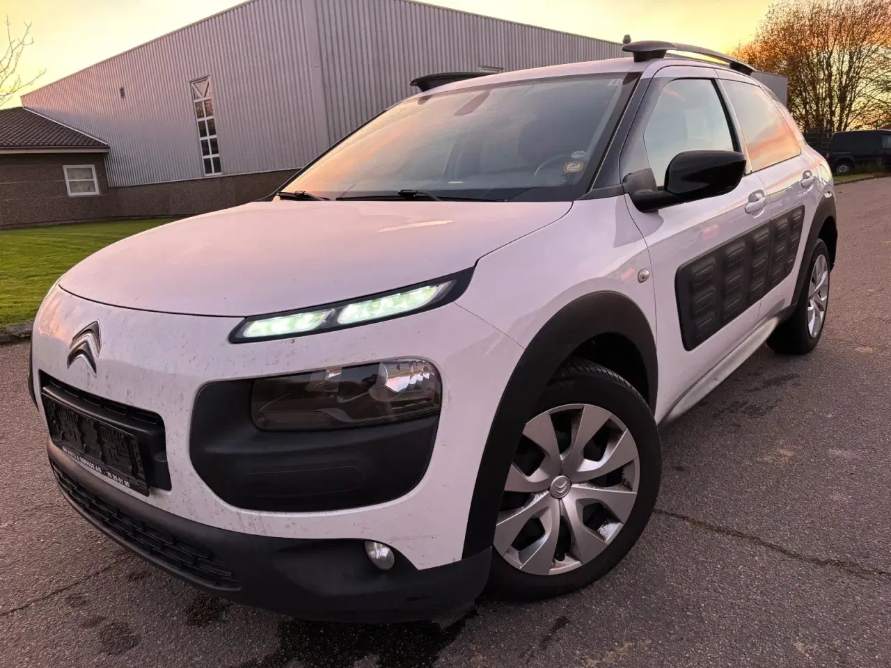 Billede 2 - Citroën C4 Cactus 1,6 BlueHDi 100 Shine Edition ETG6 Van