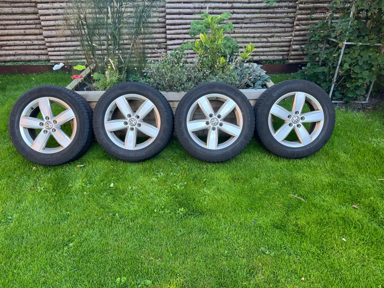 Billede 1 - Alufælge m/vinterdæk