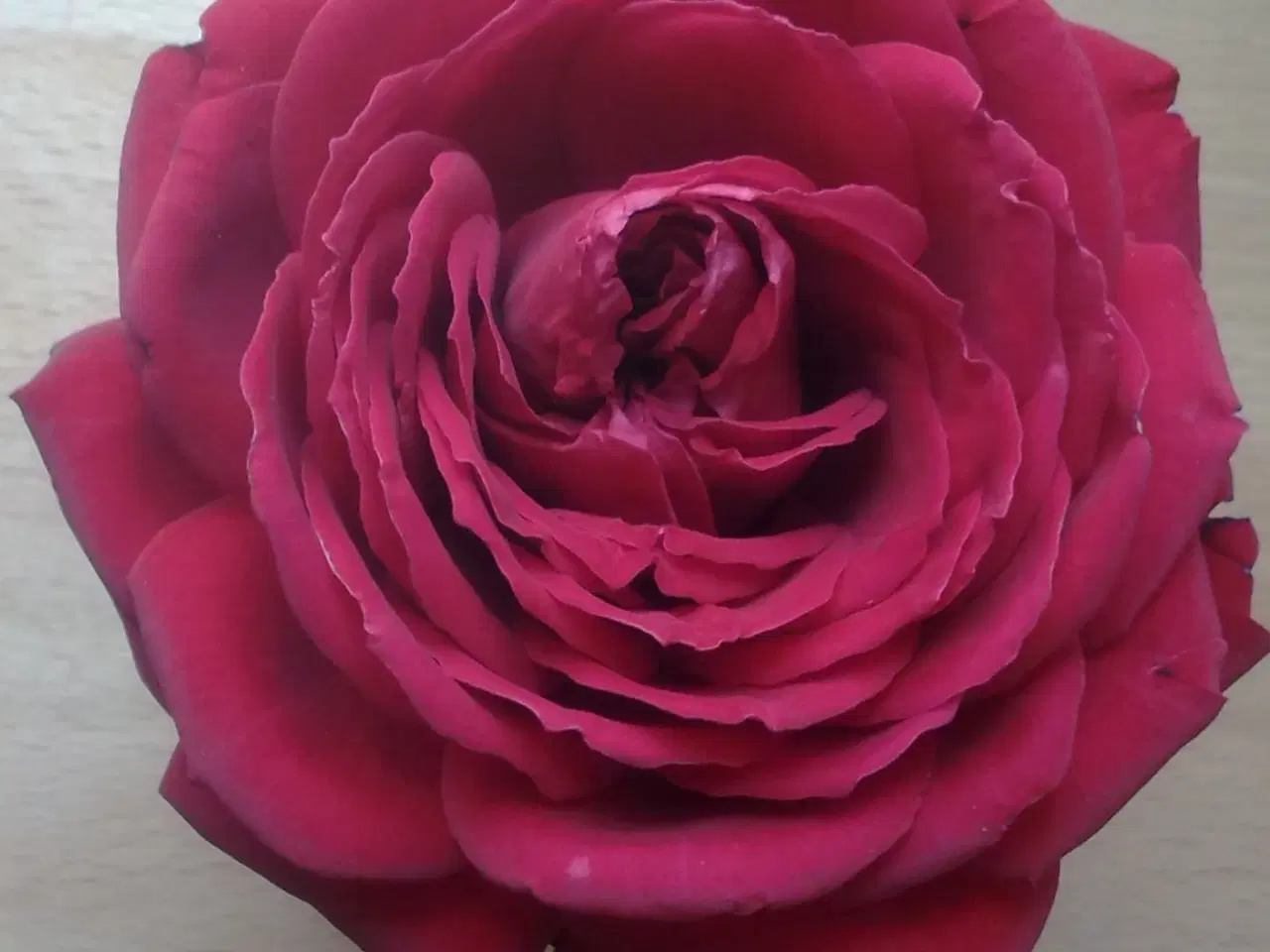 Billede 11 - Hvis din Valentine er en krukke...