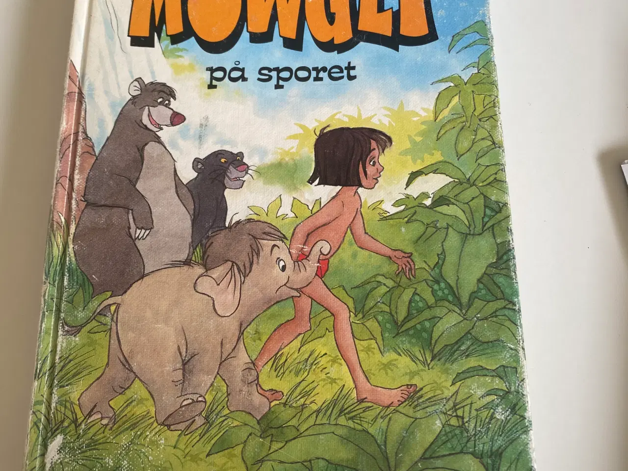 Billede 1 - Mowgli på sporet