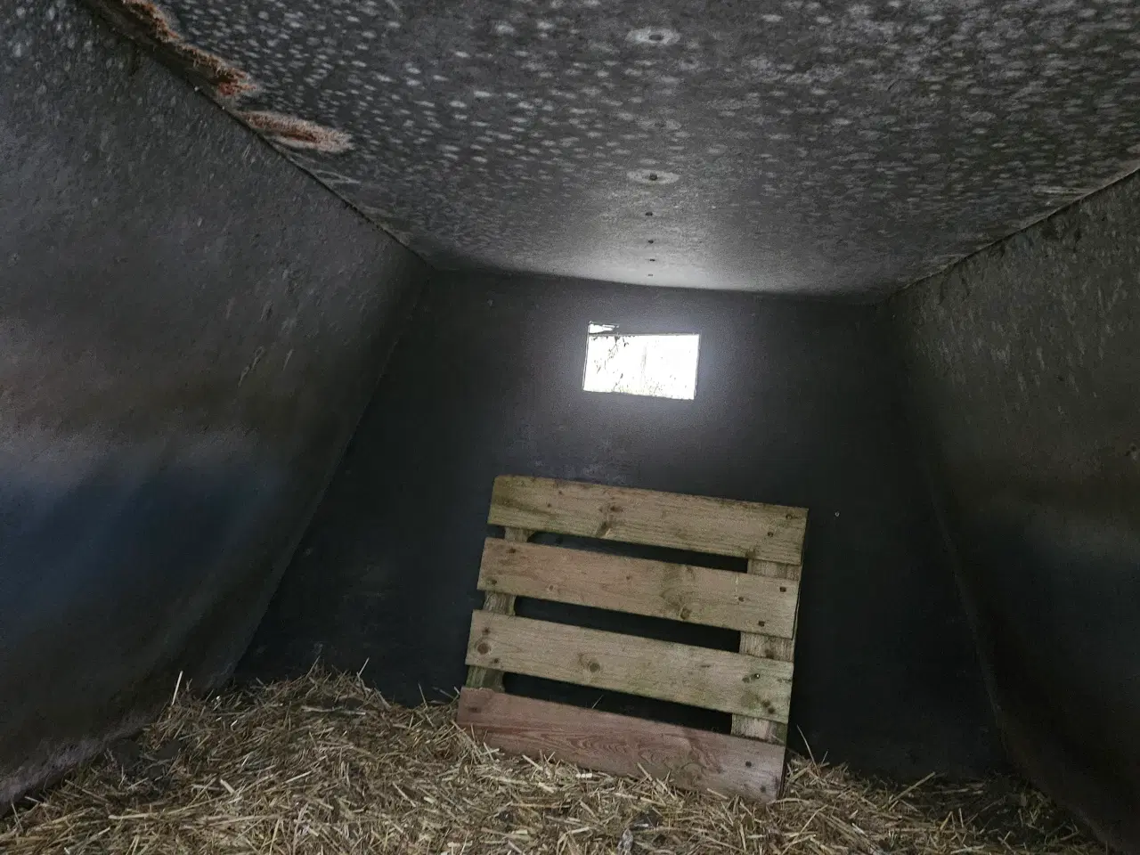 Billede 2 - Grise hytte brugt til får