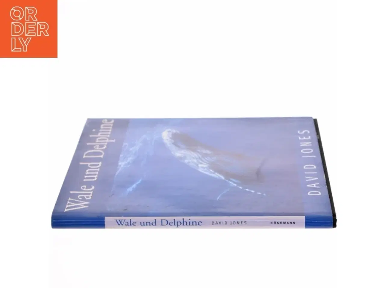 Billede 2 - Wale und Delphine af David Jones (Bog)