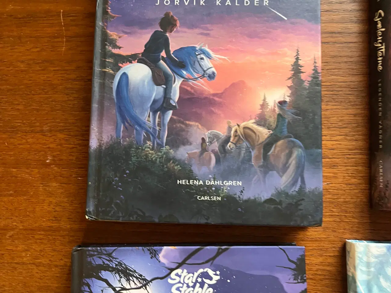 Billede 2 - Heste bøger