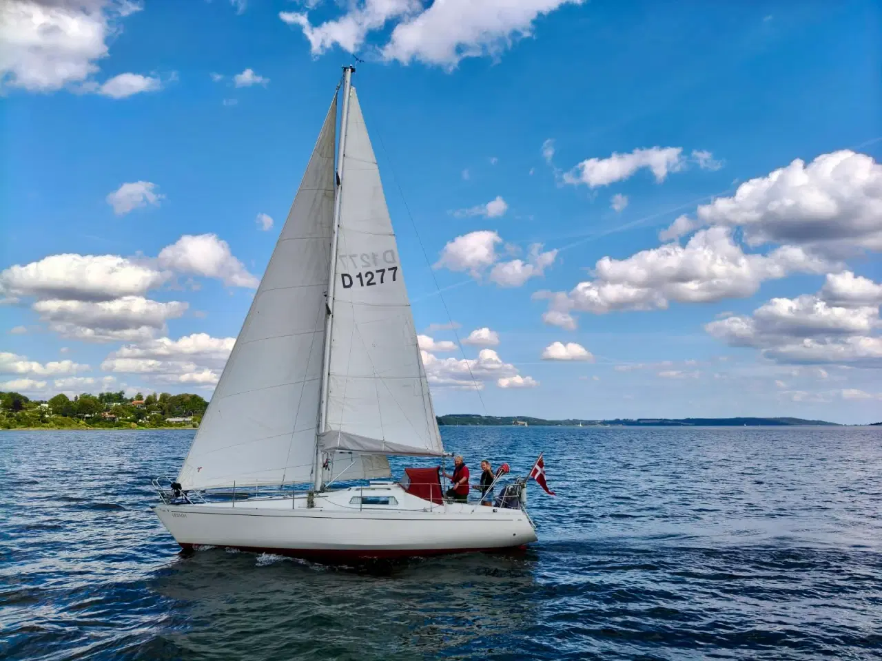 Billede 1 - Albin Scampi 30 skarp pris